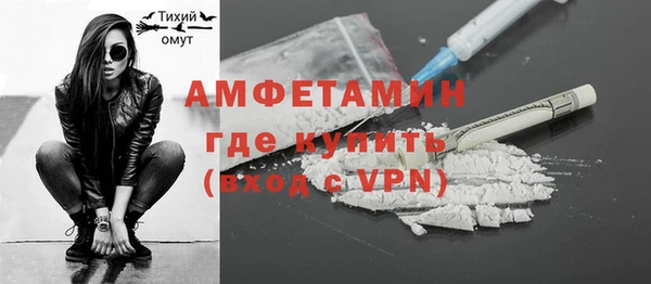 СК Пересвет