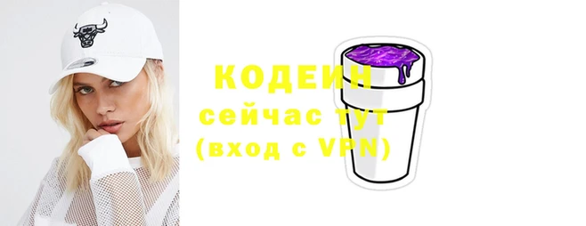 СК Пересвет