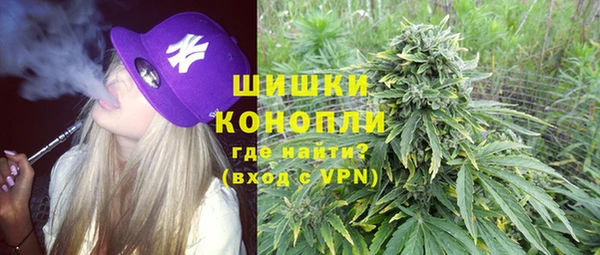 СК Пересвет