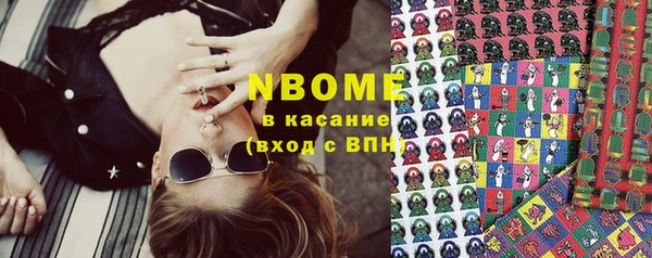 СК Пересвет