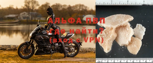 СК Пересвет