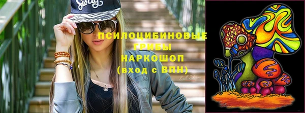 СК Пересвет