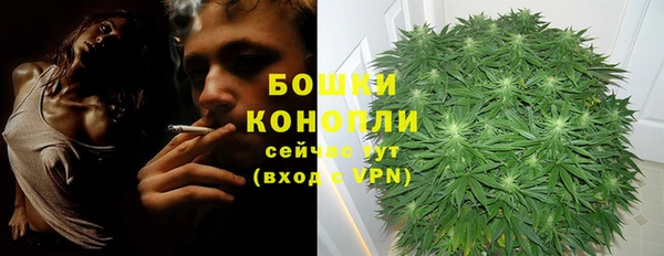СК Пересвет
