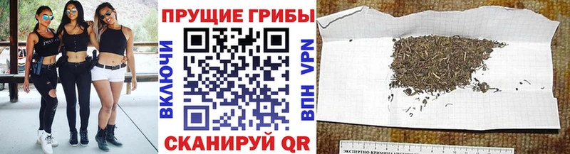 Купить закладки  Афипский  Псилоцибиновые грибы Cubensis 